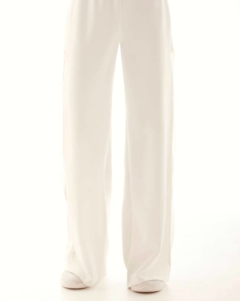 Front of a model wearing a size L Kenzie Mesh Stripe Wide Leg Pant in Cream in Cream by Lanston. | dia_product_style_image_id:339069